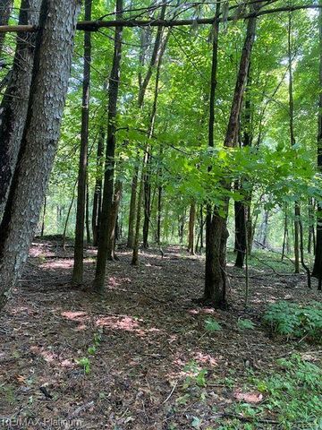 2 Sleaford-Parcel 2-3.2 Acres Road N, Howell, MI 48843