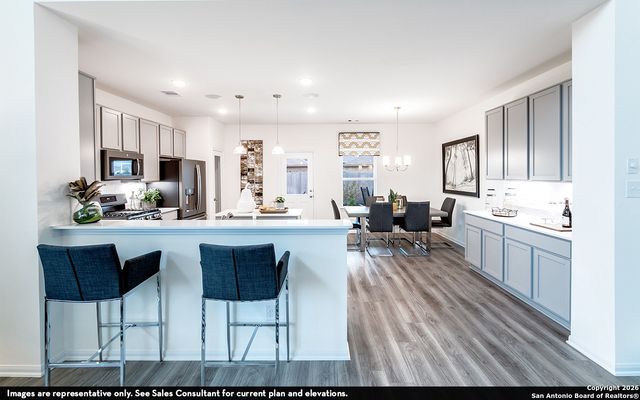 9005 Hazel Birch, Elmendorf, TX 78112