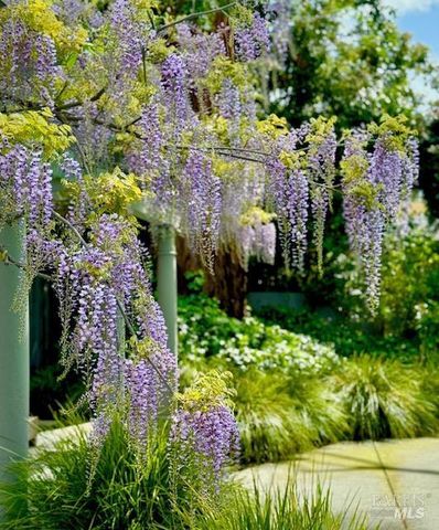 22 Clyde Ave, San Rafael, CA 94901