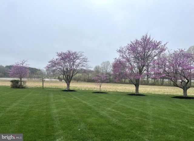 306 OLD LINE DR, Centreville, MD 21617