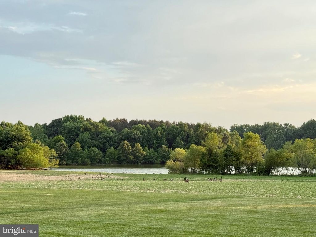 Image 110 of property listing at 306 OLD LINE DR, Centreville, MD 21617