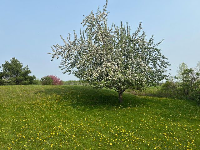 39596 10th Avenue, Isle, MN 56342