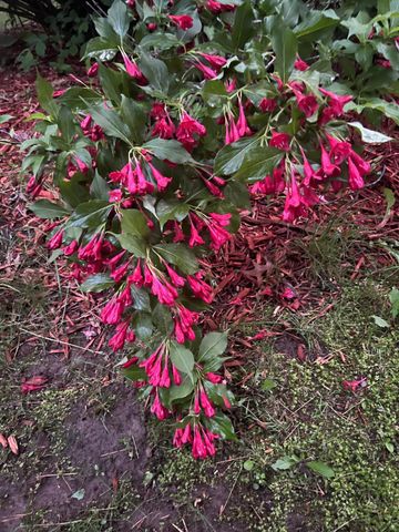 39596 10th Avenue, Isle, MN 56342