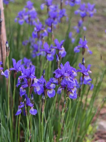 39596 10th Avenue, Isle, MN 56342