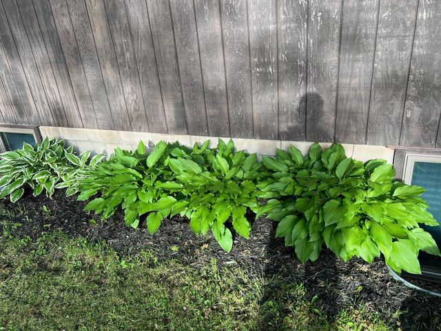 39596 10th Avenue, Isle, MN 56342