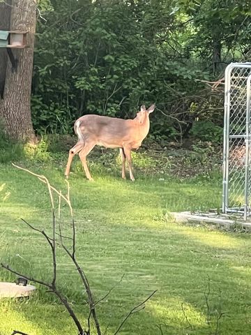 39596 10th Avenue, Isle, MN 56342