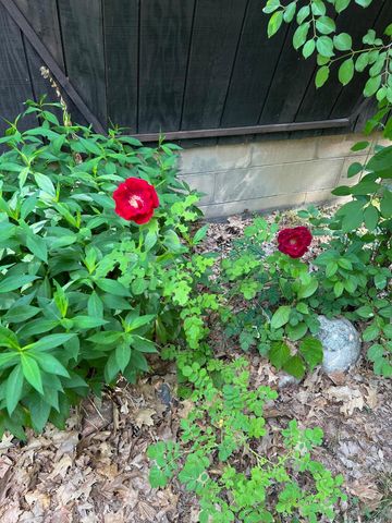 39596 10th Avenue, Isle, MN 56342