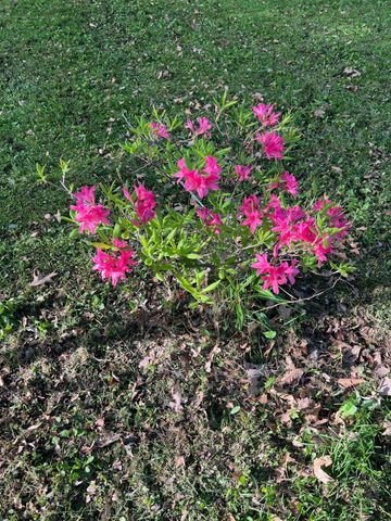 39596 10th Avenue, Isle, MN 56342