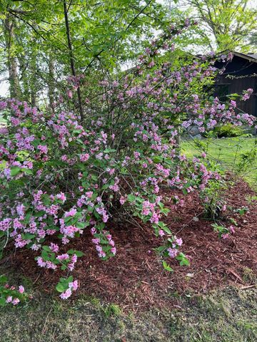 39596 10th Avenue, Isle, MN 56342