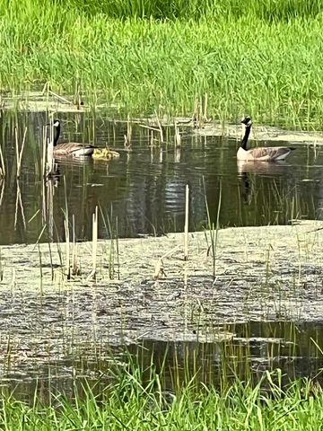 39596 10th Avenue, Isle, MN 56342