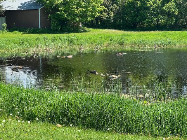 39596 10th Avenue, Isle, MN 56342