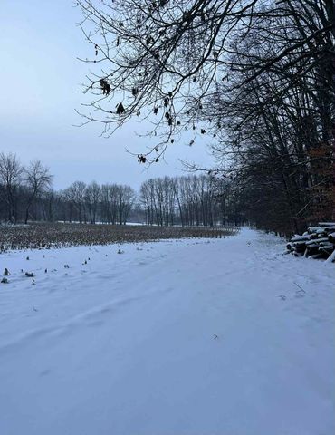 2272 W 104th Street, Grant, MI 49327