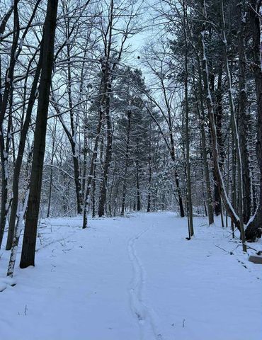 2272 W 104th Street, Grant, MI 49327