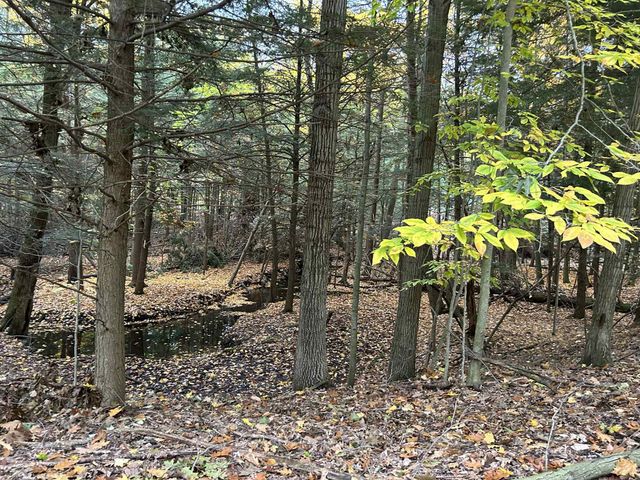 2272 W 104th Street, Grant, MI 49327