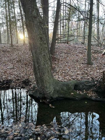 2272 W 104th Street, Grant, MI 49327