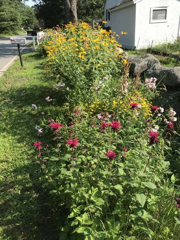 269 Branch Road, Roxbury, NH 03431