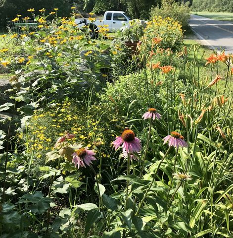 269 Branch Road, Roxbury, NH 03431