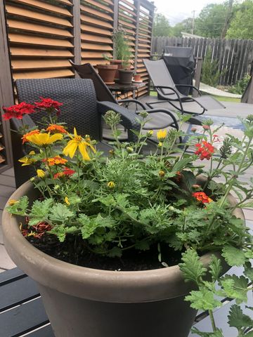 269 Branch Road, Roxbury, NH 03431