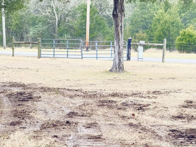 160 Osteen Ln, Chapel Hill, TN 37034