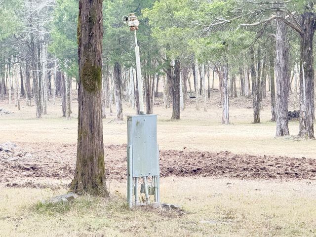 160 Osteen Ln, Chapel Hill, TN 37034