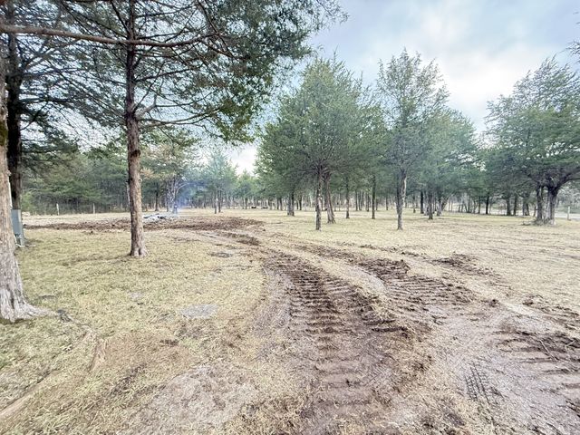 160 Osteen Ln, Chapel Hill, TN 37034