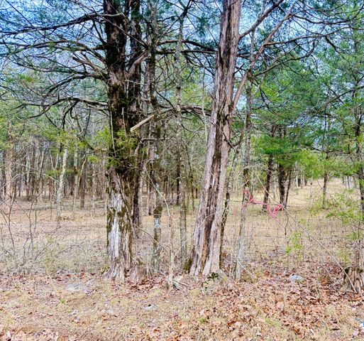 160 Osteen Ln, Chapel Hill, TN 37034