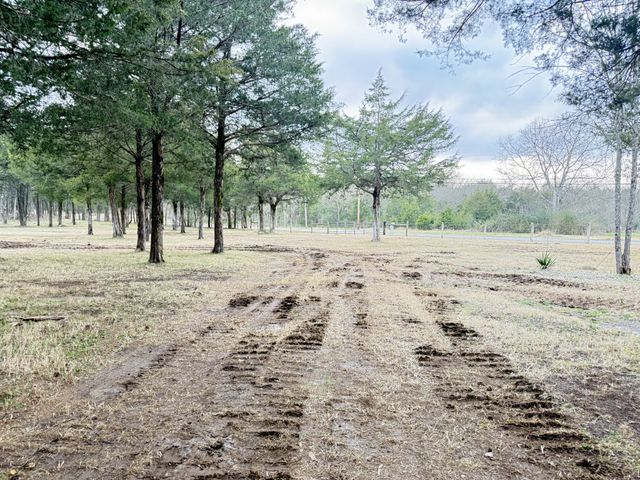 160 Osteen Ln, Chapel Hill, TN 37034