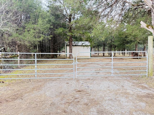 160 Osteen Ln, Chapel Hill, TN 37034