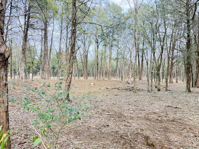 160 Osteen Ln, Chapel Hill, TN 37034