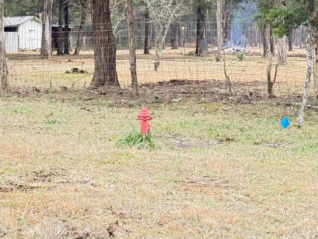 160 Osteen Ln, Chapel Hill, TN 37034