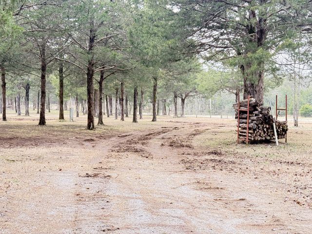 160 Osteen Ln, Chapel Hill, TN 37034