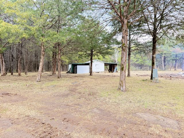 160 Osteen Ln, Chapel Hill, TN 37034