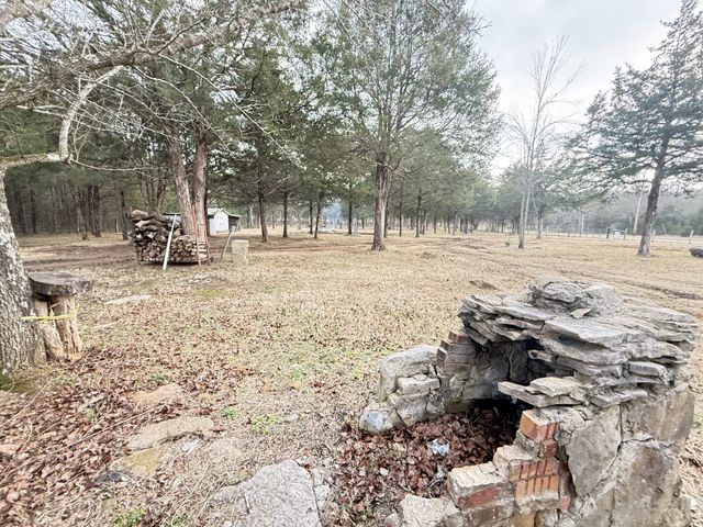 160 Osteen Ln, Chapel Hill, TN 37034