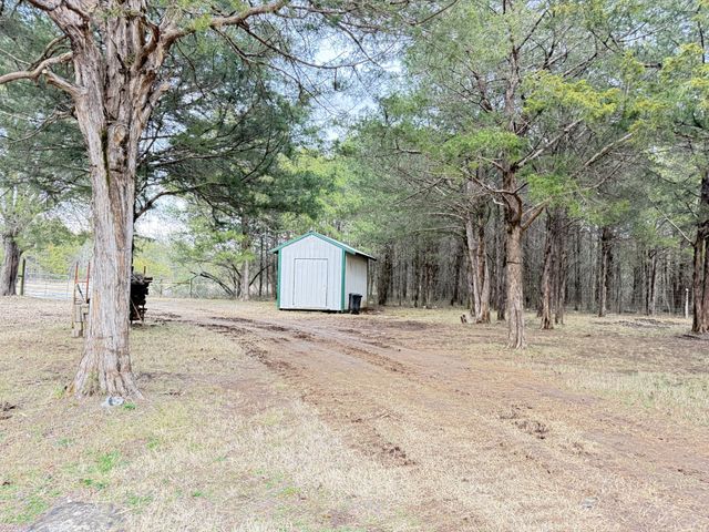 160 Osteen Ln, Chapel Hill, TN 37034