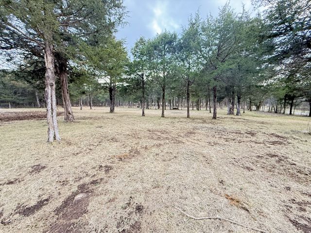 160 Osteen Ln, Chapel Hill, TN 37034