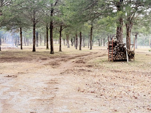 160 Osteen Ln, Chapel Hill, TN 37034