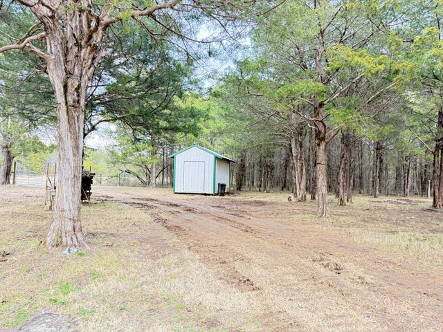 160 Osteen Ln, Chapel Hill, TN 37034