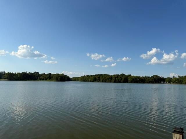 1071 Clearview Drive, Manning, SC 29102