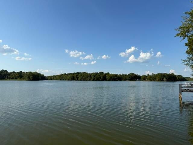 1071 Clearview Drive, Manning, SC 29102