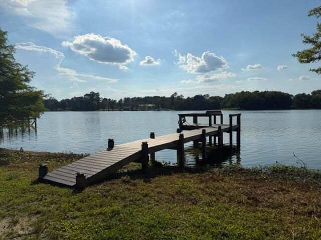 1071 Clearview Drive, Manning, SC 29102