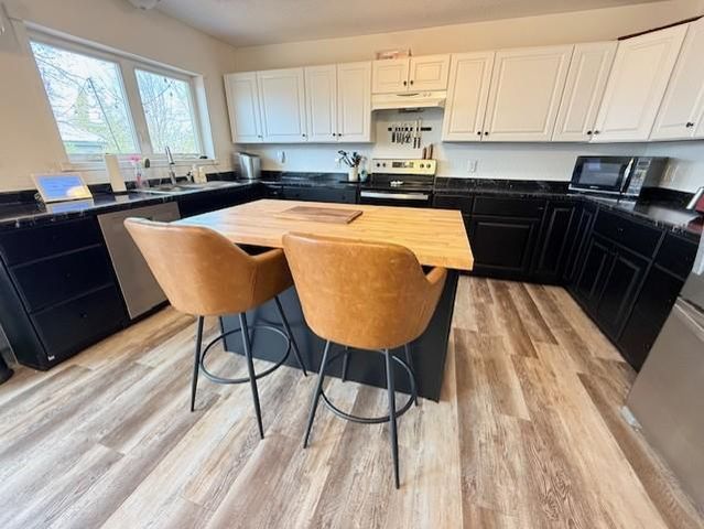 1625 2nd Street NE, Bemidji, MN 56601