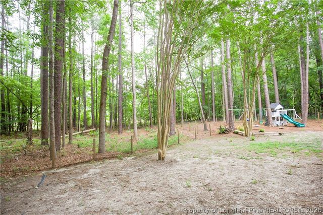 248 Chickory Place, Vass, NC 28394