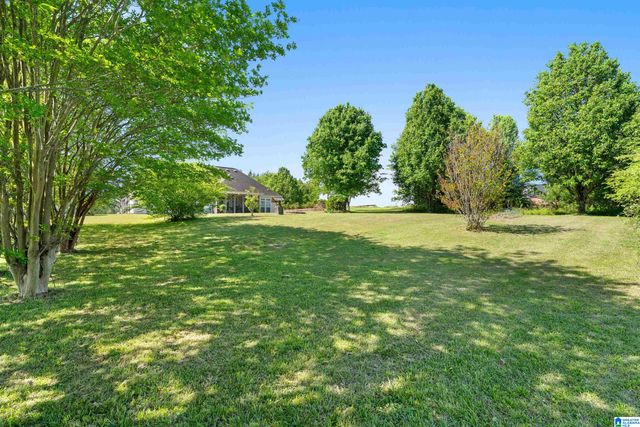 4089 PARADISE LANE, Bessemer, AL 35022