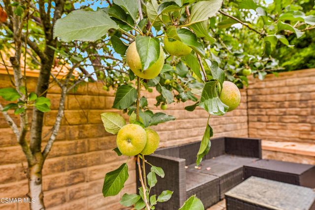 4305 Crabapple Court, Moorpark, CA 93021