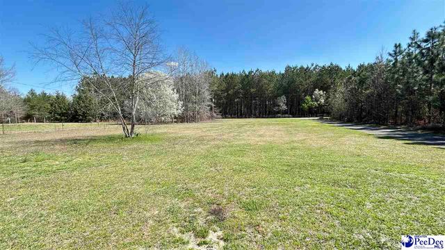 6307 Jordan Rd, Effingham, SC 29541
