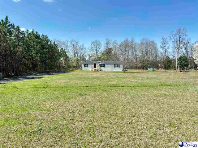 6307 Jordan Rd, Effingham, SC 29541