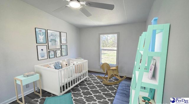 6307 Jordan Rd, Effingham, SC 29541