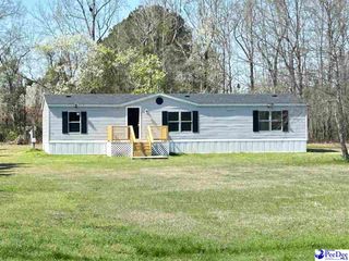 6307 Jordan Rd, Effingham, SC 29541