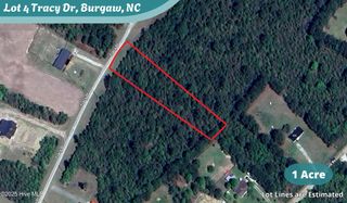 Lot 4 Tracy Drive, Burgaw, NC 28425