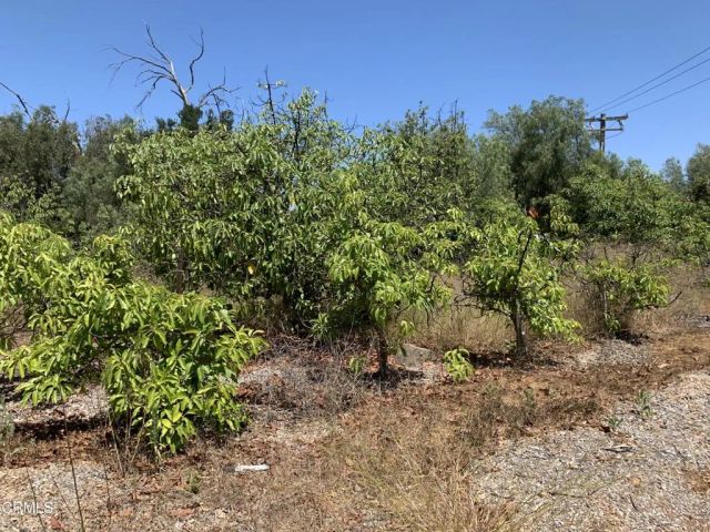 9200 Stockton Road, Moorpark, CA 93021